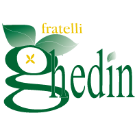 Fratelli Ghedin